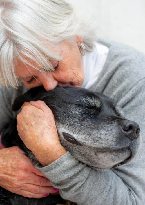 Dierentehuis 't Hart